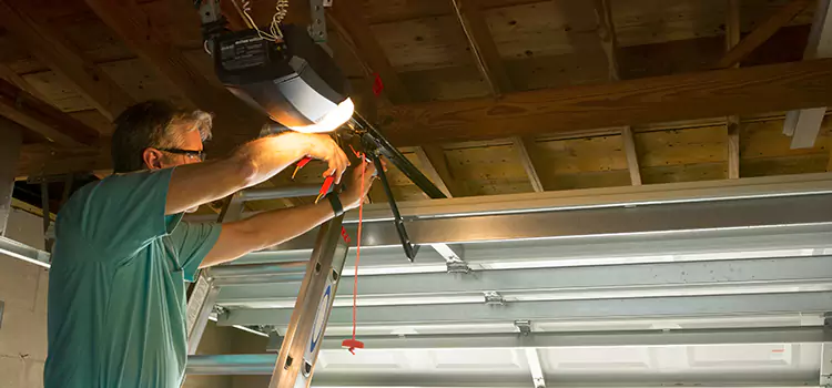 Garage Door Opener Sales and Installation Clinton