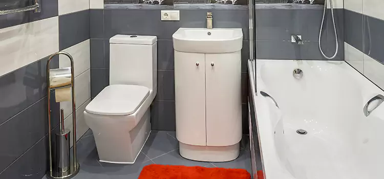 Hansgrohe Shaving Mirror Clinton